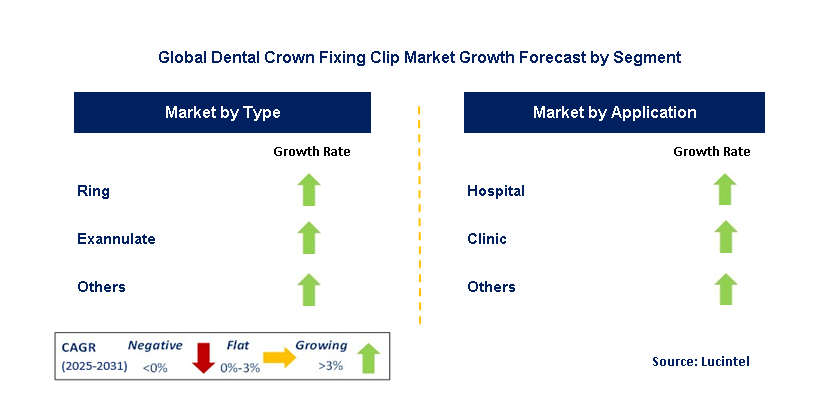Dental Crown Fixing Clip Market by Segment